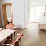 מלון Landgasthof Hohenauer Hof 3*