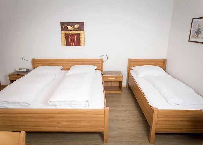 Landgasthof Hohenauer Hof 3*