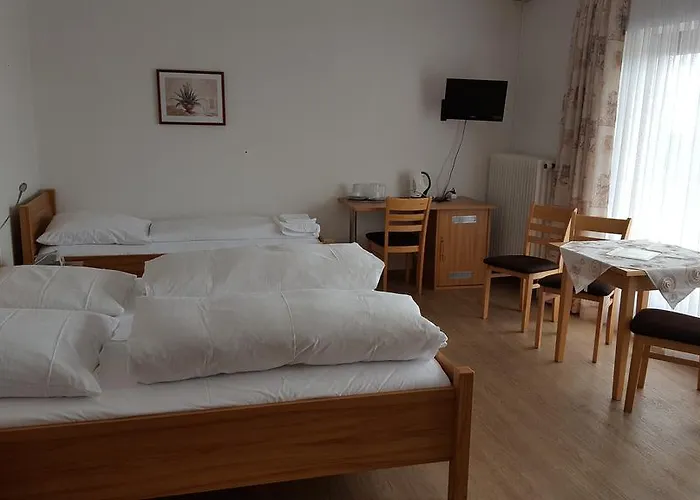 Hotel Landgasthof Hohenauer Hof Hohenau
